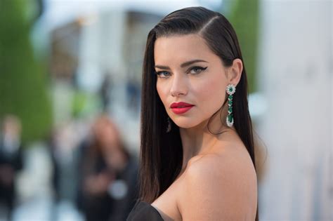 how much is adriana lima worth|Adriana Limas Net Worth